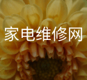 “中國(guó)創(chuàng)翼” 斬獲佳績(jī)